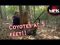So Close You Could Almost Grab Them MFK Coyote Hunting