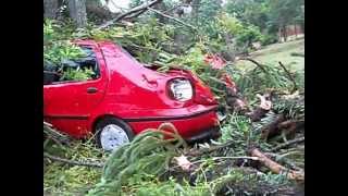 preview picture of video 'Violenta caida de araucaria perjudica a vecino- en San Pedro misiones'