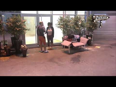 Zadruga 2 - Bane ljubomoriše i svađa se sa Zerinom - 19.10.2018.