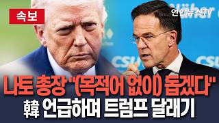 [????속보] 나토 총장, (목적어 없이) 돕겠다 트럼프 달래기…한국 등 협조도 필요 뜬금 발언도 / 연합뉴스TV(YonhapnewsTV)