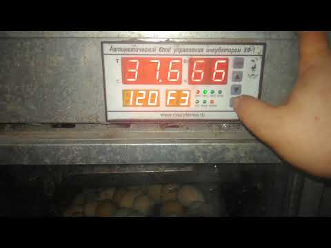 Контроллер ХМ18 для инкубатора . Автоматический блок управления инкубатором КФ-1 настройка.8.03.2020