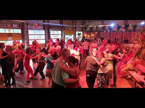 Pineapple Tango München - Tanzen unter Palmen -Sommer 2025