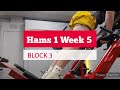 DVTV: Block 3 Hams 1 Wk 5