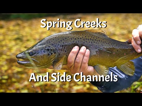 Unlocking the Magic of Spring Creeks and Side Channels