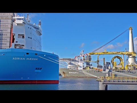CRANE SHIP BOKALIFT 2 MEETS ADRIAN MAERSK AT THE PORT OF ROTTERDAM - 4K SHIPSPOTTING MARCH 2025