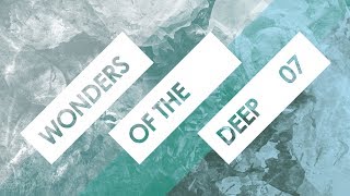 Wonders Of The Deep 07 with LOMER