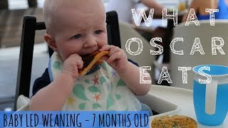 WHAT MY BABY EATS IN A DAY | 7 MONTHS | Baby Led Weaning