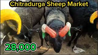 Sheep Bazaar Market Chitradurga Karnataka Bangalore for Bakrid Every Thursday 30-05-2024