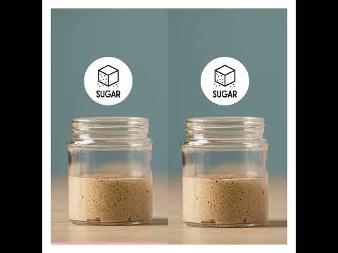 How does sugar influence yeast fermentation