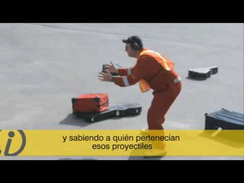 Guitarra en avion,historia final : Guitarras eléctricas, acústicas,  clásicas y bajos | Guitarristas.info