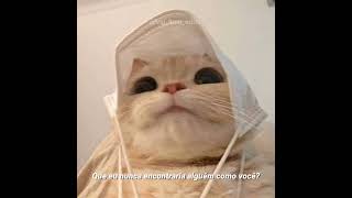 out of my league - Fitz and the Tantrums | edit / legendado