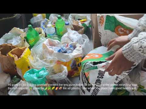 🌾How I grow my own organic veggies & herbs in Canada  day 4 + fertilizing soil for planting🌱🌳🌴🪴🌿