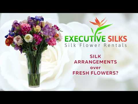 download lagu mp3 mp4 Silk Flower Rentals, download lagu Silk Flower Rentals gratis, unduh video klip Silk Flower Rentals