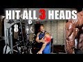 BIG TRICEPS: How to Hit ALL 3 Heads!