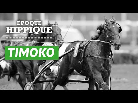 L'histoire de Timoko : le plus riche Trotteur Français | Époque Hippique | PMU