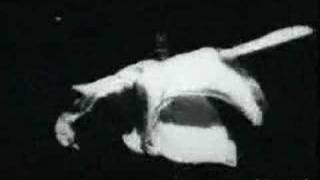 The Robot Ate Me - On Vacation