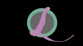 Download lagu Dance Namba mp3 Download lagu Dance Namba mp3