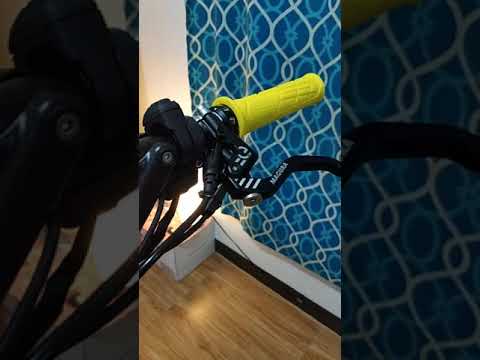 Dualtron Eagle Upgraded Brakes Magura MT4 eStop
