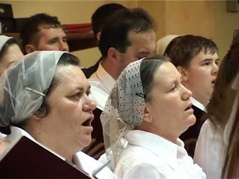 SA N-AI TEAMA // Corul Mixt LUNCUSOARA - dirijor Petrica Moisuc