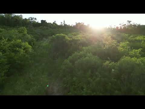 Chacra De 6,8 Hectáreas Sobre Ruta 4 Alem, Misiones -