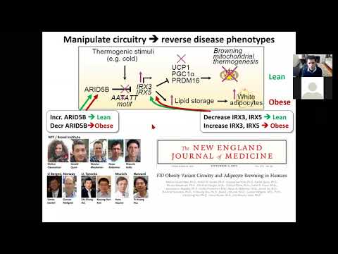 Joslin Seminar ManolisKellis