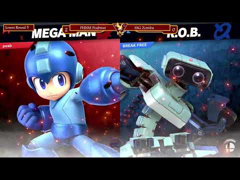 Peabnut (Mega Man) vs Zomba (ROB) -  Losers Round 5  - Rock the Winds