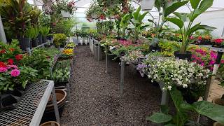 Nursery Tour and Haul Taking Down The Greenhouse and Planting Flowers