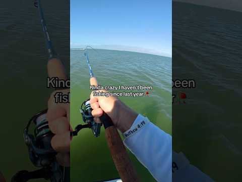 This is so crazy😭💔