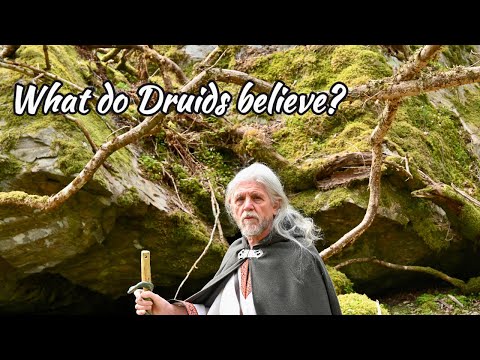 What do Druids believe