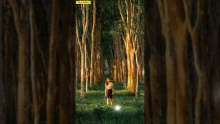 Download lagu 5 Tanaman Pembawa Rezeki dan Keberuntungan ‼️#tanaman #penarikrezeki #keberuntungan #shorts #dakwah mp3