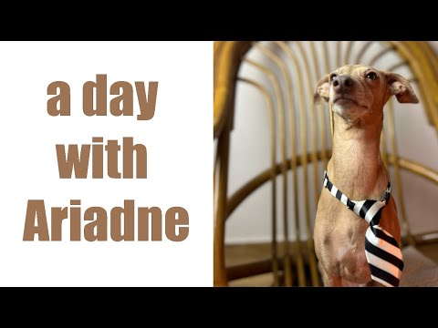 RELAXING VIDEO || A day with Ariadne