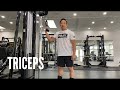 How To Build Massive Triceps with Ultimate Techniques