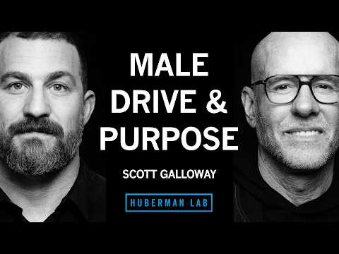 @hubermanlab - "Male Roles, Obligations and Options for Building a Fulfilling Life | Scott Galloway"