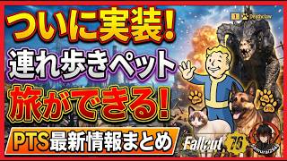 【Fallout76-PTS速報】ついにペットと旅ができる！PTSで判明した「連れ歩きペット」の最新情報まとめ【Fallout76攻略　フォールアウト76　Samurai2948】