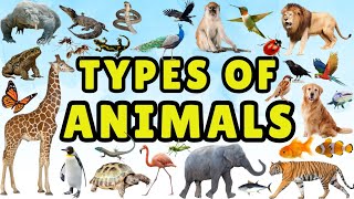 Animals for Kids | Different Types of Animals | Kids Learning