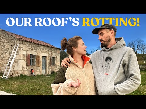 Why We're NOT Taking the Roof Off the TINY STONE COTTAGE