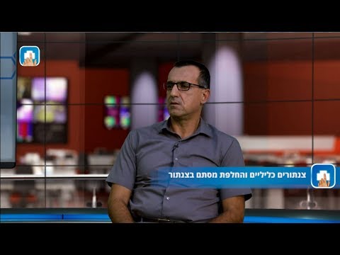 צנתורים כליליים והחלפת מסתם בצנתור: המילון הרפואי