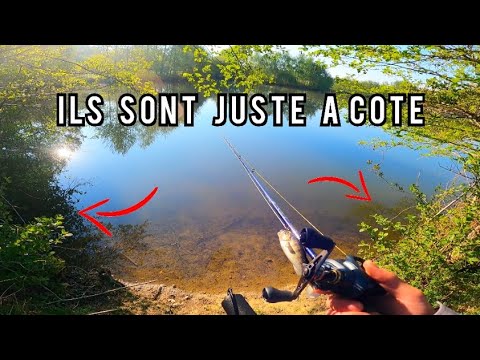 ILS SONT VRAIMENT ICI, ma stratégie payante depuis l'ouverture du brochet !!!