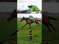 Racehorse Corbetts Cross Dies After Fall During Cheltenham Gold Cup #race #horse #died #goldcup #uk