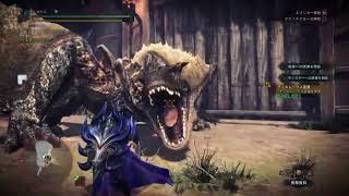 チャージアックスとかいう難しすぎる武器。儀式が多すぎるよォ😭【アイスボーン】【MHWI】