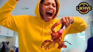 Epic Funny Moments #002 | Epic Animal Fails Compilation 2025