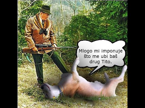 LOVAČKA - Ranko Plavsić & VIKOMICE