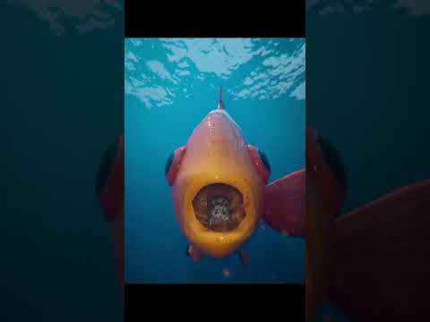 🦠PARASITO reemplaza la LENGUA del Pez😱