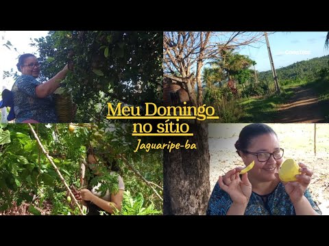 MEU DOMINGO NO SÍTIO / Jaguaripe-ba