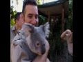 The Wiggles On Croc Diaries