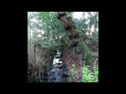 [SOLD] acoustic sewerperson x nothing, nowhere x skele x killedmyself type beat - weight of my mind.