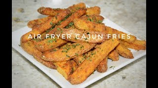 The Best Air Fryer French Fries I Have Made - Air Fryer Recipes