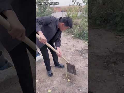 #狗是人类最忠诚的朋友 #万物皆有灵性 #萌宠