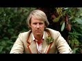 Babelcolour Tribute - Peter Davison