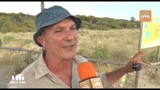 la-costa-reclamata-dal-mare-a-salerno-e-allarme-erosione